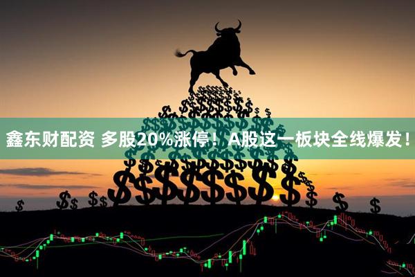 鑫东财配资 多股20%涨停！A股这一板块全线爆发！