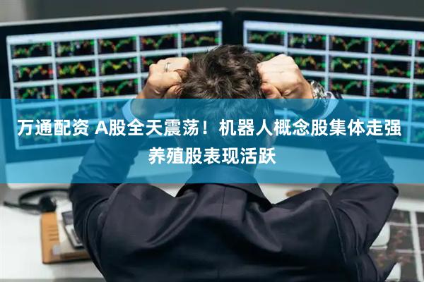 万通配资 A股全天震荡！机器人概念股集体走强 养殖股表现活跃