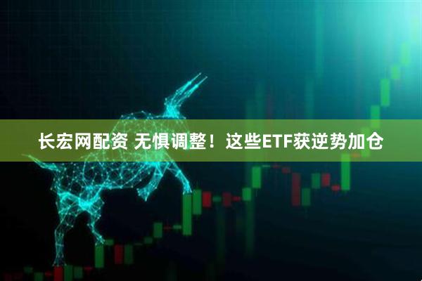 长宏网配资 无惧调整！这些ETF获逆势加仓