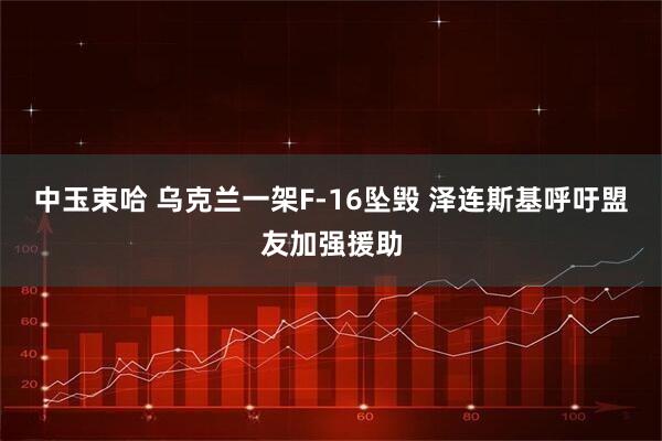 中玉束哈 乌克兰一架F-16坠毁 泽连斯基呼吁盟友加强援助