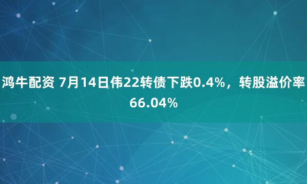 鸿牛配资 7月14日伟22转债下跌0.4%，转股溢价率66.04%