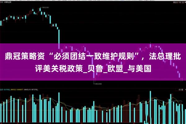 鼎冠策略资 “必须团结一致维护规则”，法总理批评美关税政策_贝鲁_欧盟_与美国