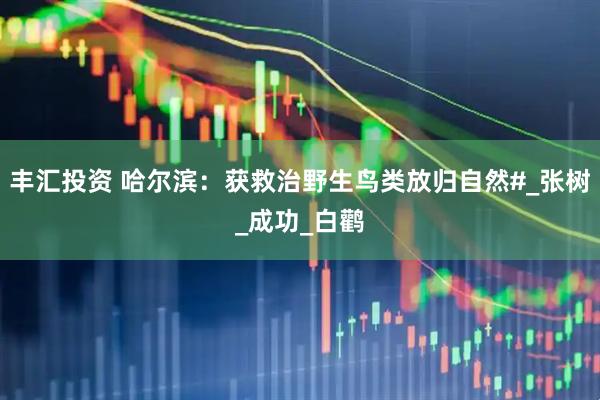 丰汇投资 哈尔滨：获救治野生鸟类放归自然#_张树_成功_白鹳