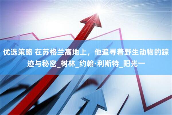 优选策略 在苏格兰高地上，他追寻着野生动物的踪迹与秘密_树林_约翰·利斯特_阳光一