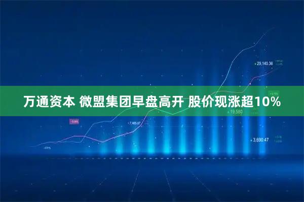 万通资本 微盟集团早盘高开 股价现涨超10%