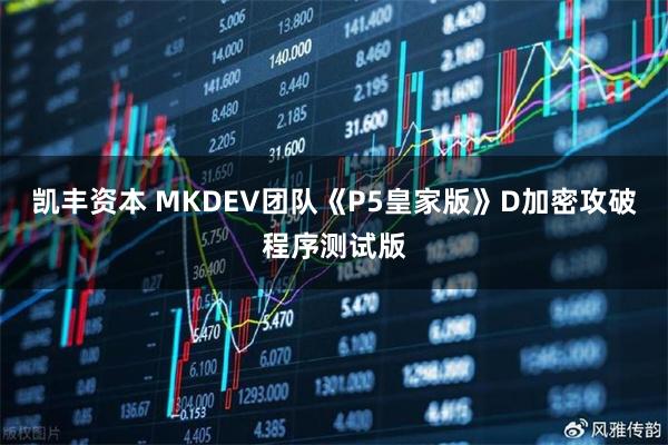 凯丰资本 MKDEV团队《P5皇家版》D加密攻破程序测试版