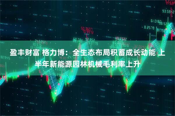 盈丰财富 格力博：全生态布局积蓄成长动能 上半年新能源园林机械毛利率上升